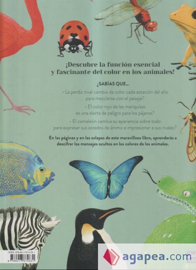 Color Animal Color Animal