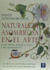 NATURALEZA ASOMBROSA EN EL ARTE