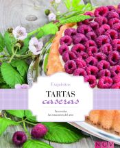 Portada de EXQUISITAS TARTAS CASERAS