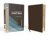 NIV Foundation Study Bible