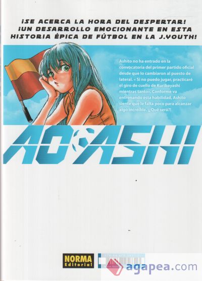 AO ASHI 08