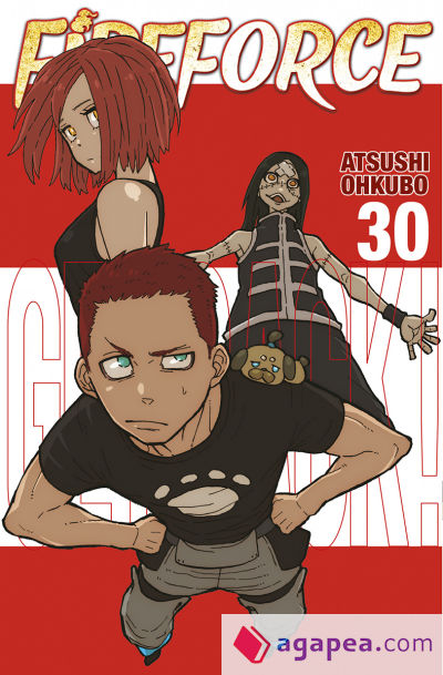 FIRE FORCE 30
