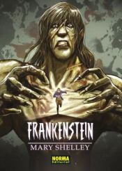 Portada de FRANKESTEIN (CLÁSICOS MANGA)