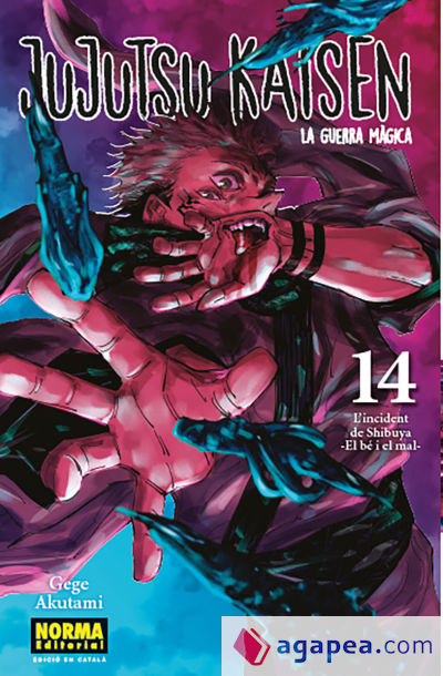 JUJUTSU KAISEN 14 CATALA