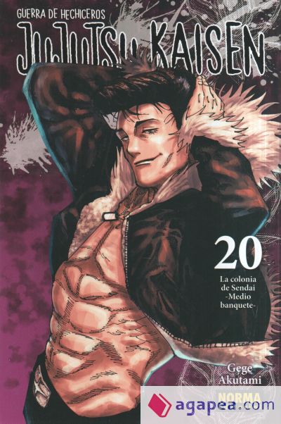 JUJUTSU KAISEN 20