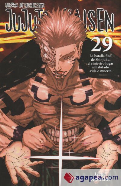 JUJUTSU KAISEN 29 JUJUTSU KAISEN 29