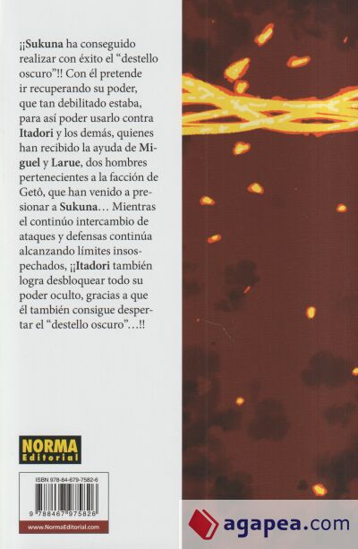 JUJUTSU KAISEN 29 JUJUTSU KAISEN 29