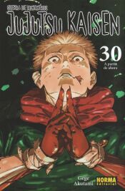 Portada de JUJUTSU KAISEN 30