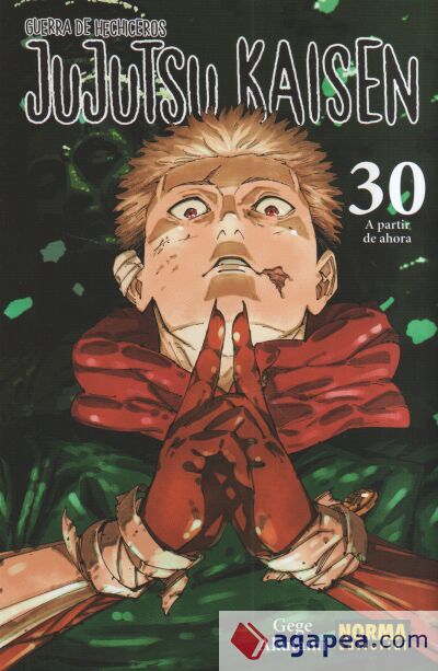 JUJUTSU KAISEN 30 JUJUTSU KAISEN 30