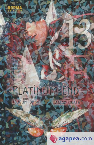 PLATINUM END 13