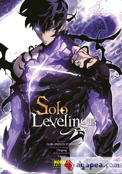 SOLO LEVELING 13