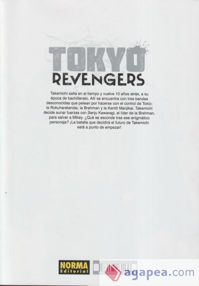 TOKYO REVENGERS 13