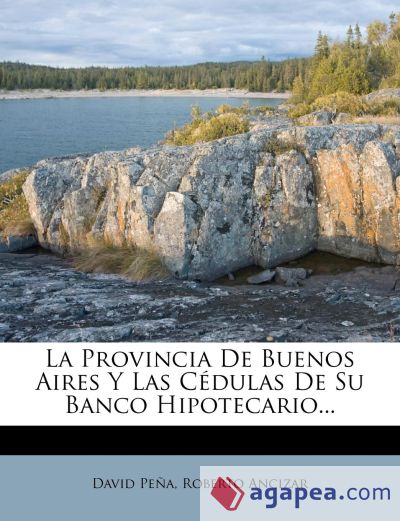 La Provincia De Buenos Aires Y Las Cédulas De Su Banco Hipotecario