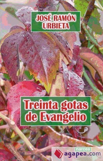 Treinta gotas de Evangelio (Ebook)