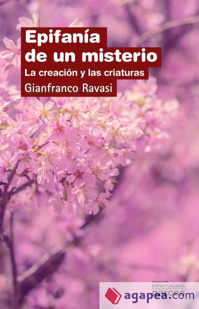Epifan&iacute;a de un misterio