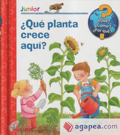 ¿Qué? Junior. ¿Qué planta crece aquí?