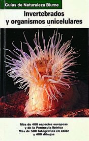 Portada de Guía Naturaleza. Invertebrados y organismos unicelulares