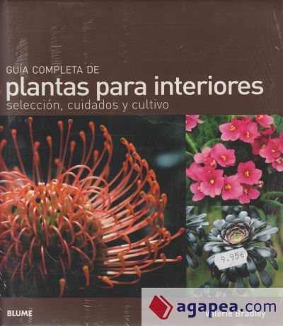 Guía completa de plantas para interiores