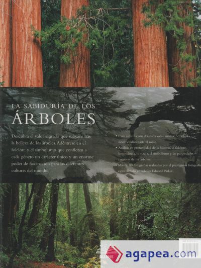 LA SABIDURIA DE LOS ARBOLES - FRED HAGENDER - 9788480766272