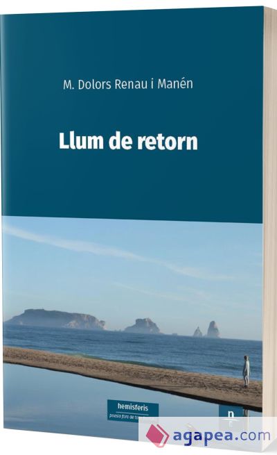 Llum de retorn