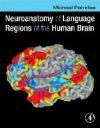 Neuroanatomy of Language Regions of the Human Brain