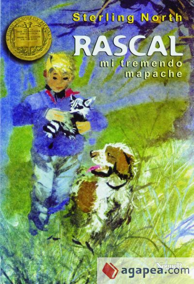 Rascal, mi tremendo mapache