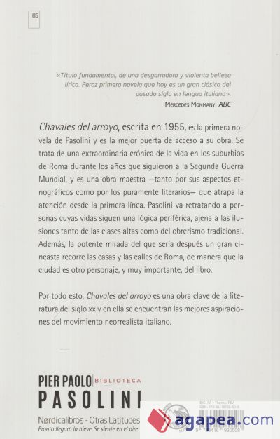 Chavales del arroyo (Biblioteca Pasolini)