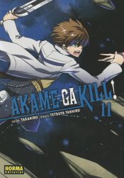 Portada de AKAME GA KILL! 11