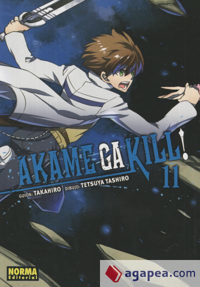 AKAME GA KILL! 11