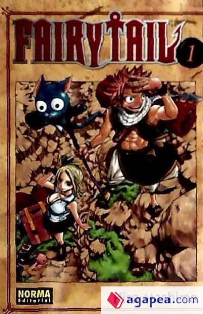 FAIRY TAIL 01