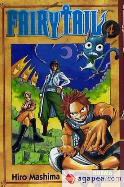 FAIRY TAIL 04