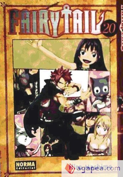 FAIRY TAIL 20