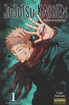 Jujutsu Kaisen 01