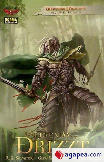 LA LEYENDA DE DRIZZT