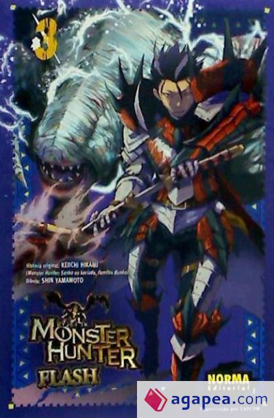 Monster Hunter Flash 03