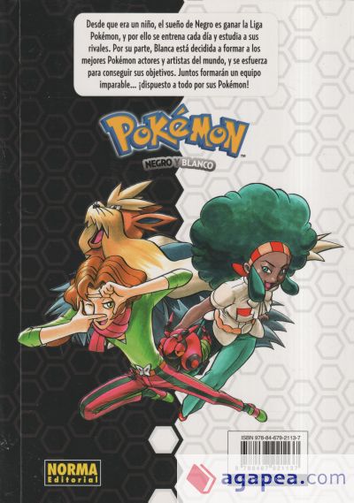 Pokemon 26