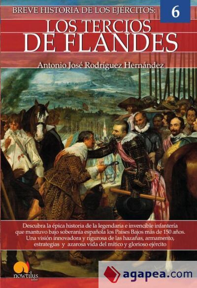 Breve historia de los Tercios de Flandes N. E