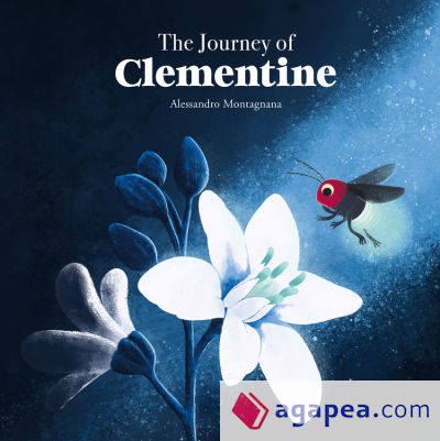 The Journey of Clementine