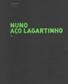 Nuno Aço Lagartinho