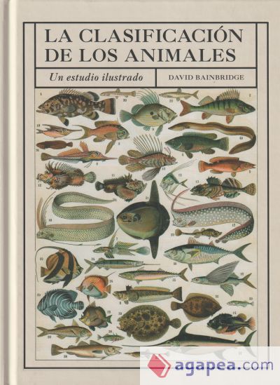 CLASIFICACION DE LOS ANIMALES, LA