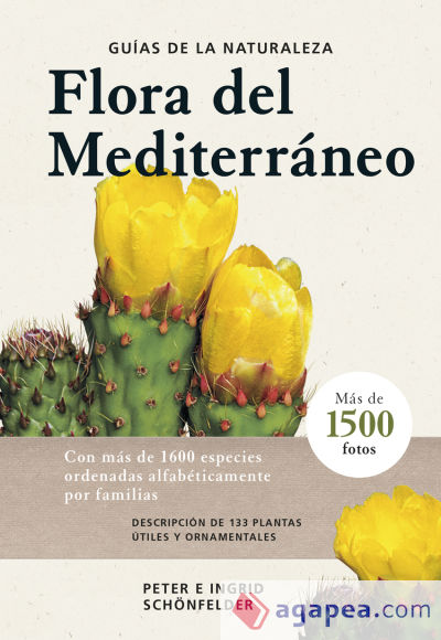 FLORA DEL MEDITERRANEO