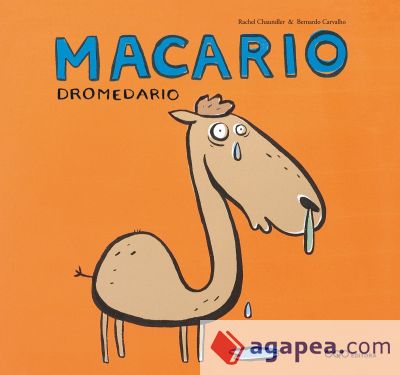 Macario Dromedario