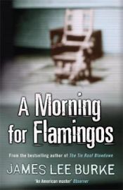 Portada de Morning For Flamingos
