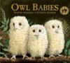 OWL BABIES