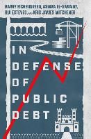 Portada de In Defense of Public Debt
