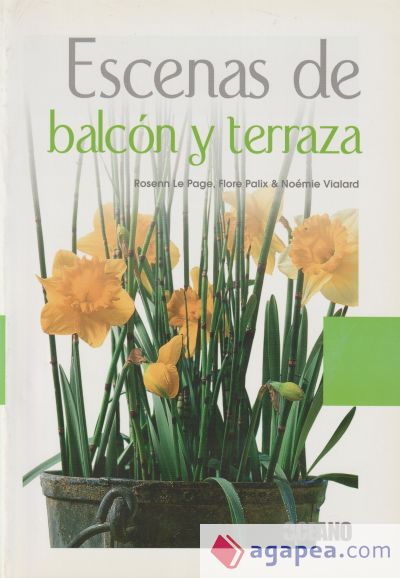 Escenas de balcón y terraza