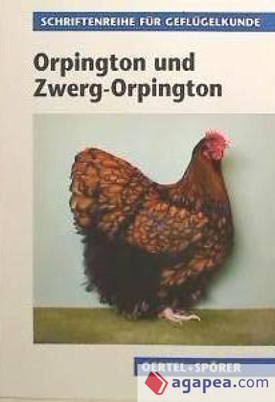 Orpington und Zwerg-Orpington