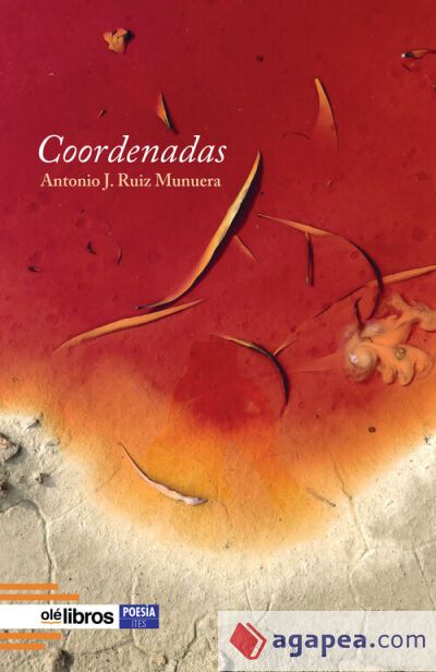 Coordenadas