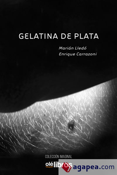 Gelatina de plata