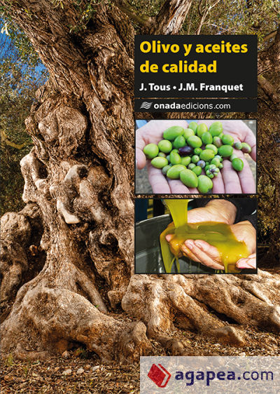 Olivo y aceites de calidad